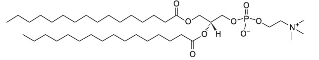 二棕榈酰基卵磷脂  DPPC|CAS 63-89-8