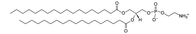 二硬脂酰基磷脂酰乙醇胺DSPE|CAS 1069-79-0