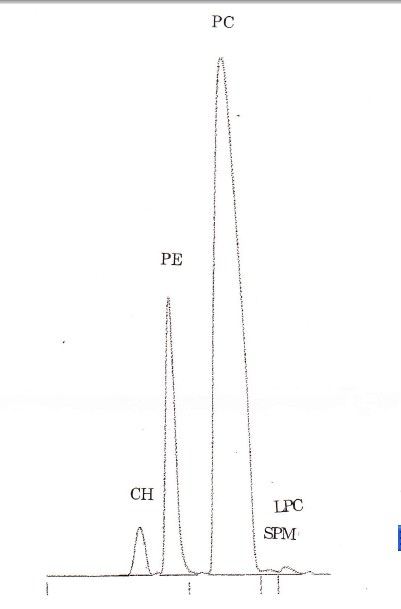 蛋黄卵磷脂PL-100M|CAS 93685-90-6