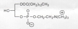 肉豆蔻酰溶血卵磷脂 M-LysoPC|CAS 20559-16-4